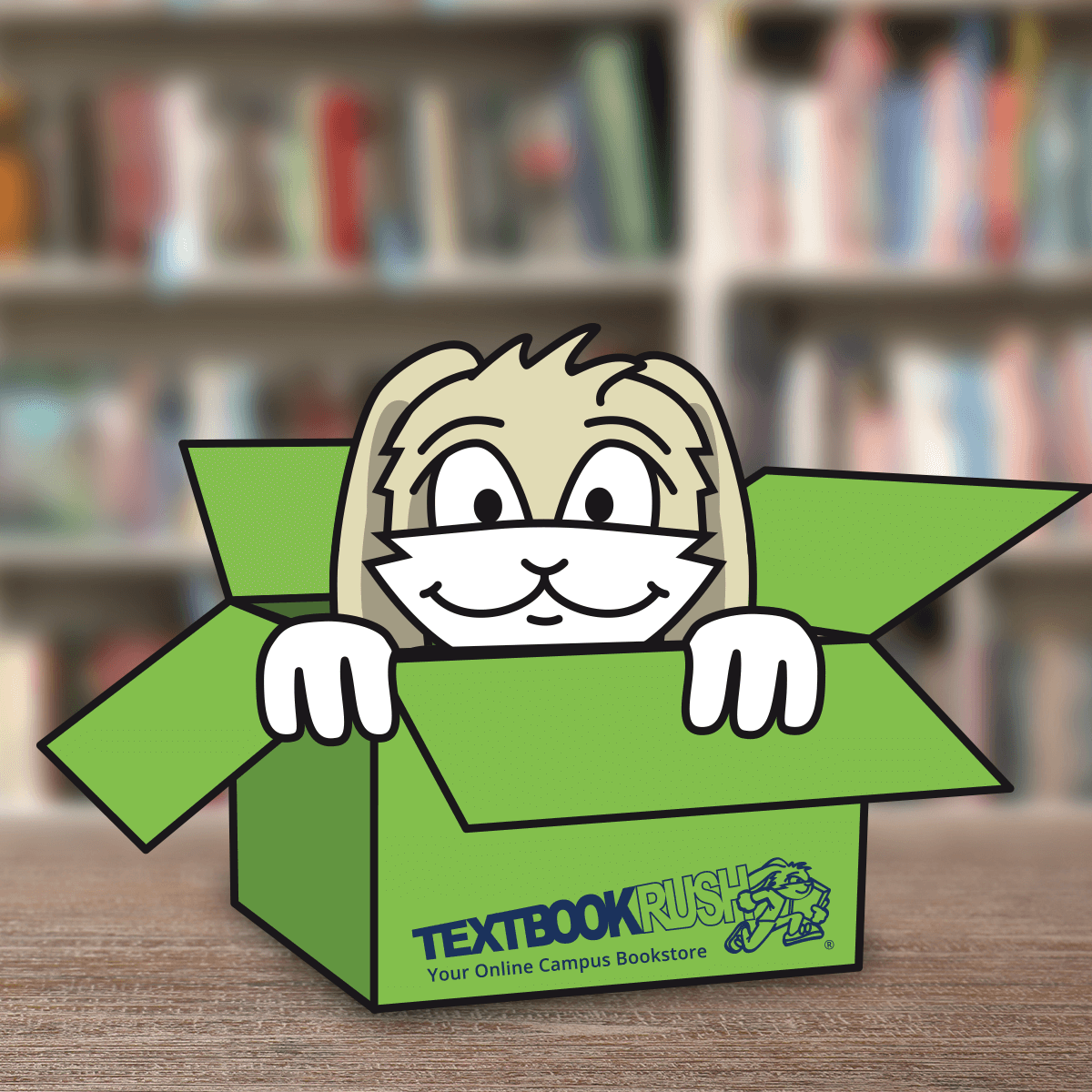Image of Rush the Rabbit in a TextbookRush box