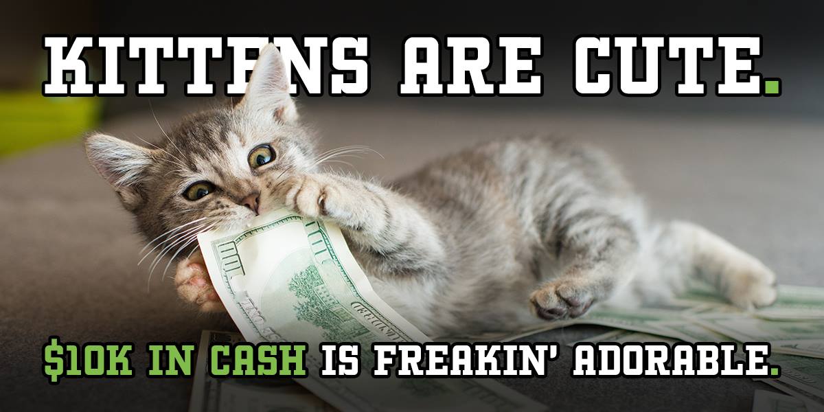Kittens are cute. $10 in cash is freakin' adorable.