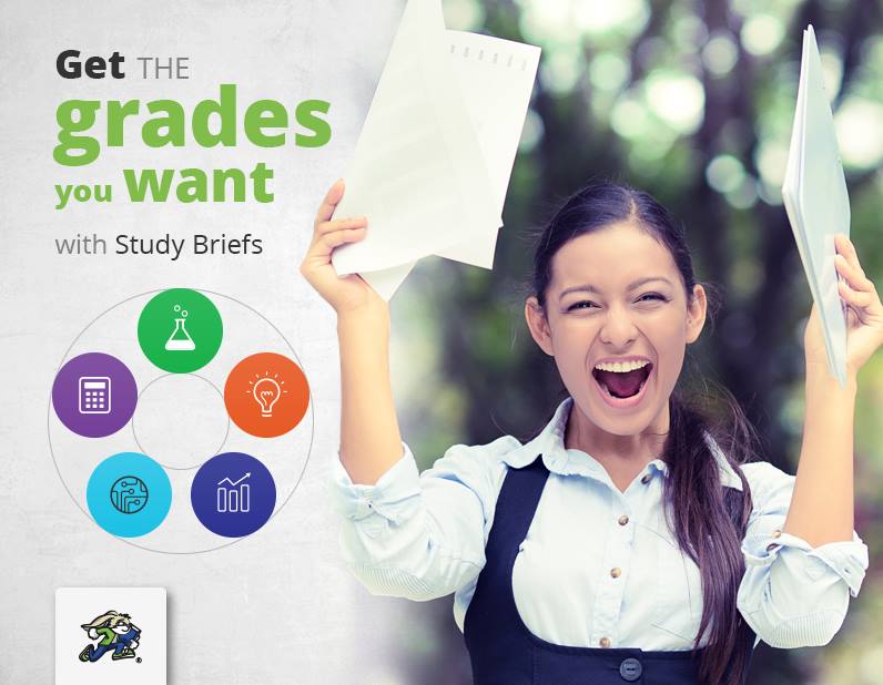 Get the grades you want with Study Briefs